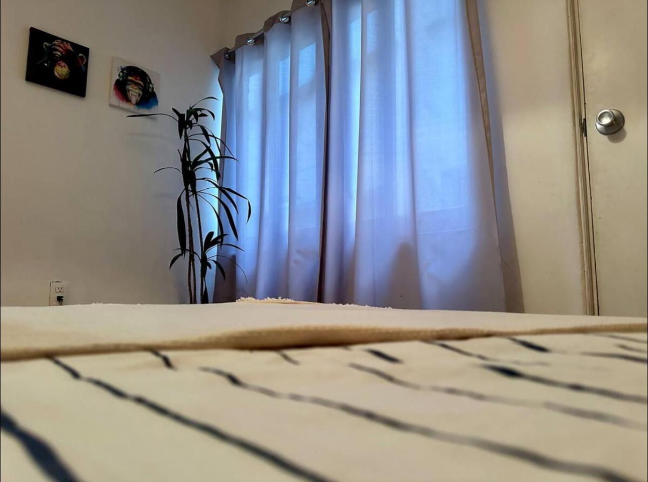 Hermoso Departamento En Condesa Apartment Mexico City